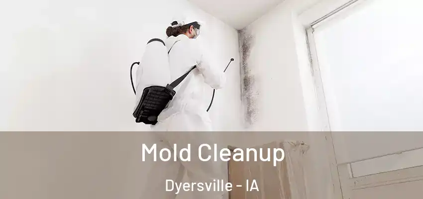  Mold Cleanup Dyersville - IA