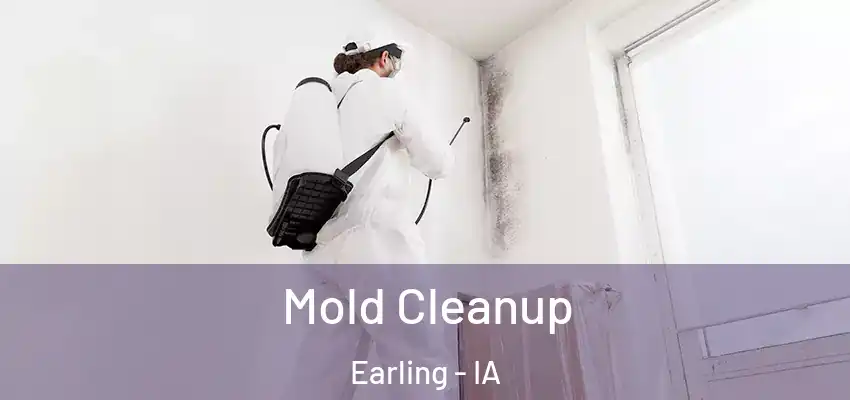  Mold Cleanup Earling - IA