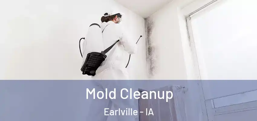 Mold Cleanup Earlville - IA
