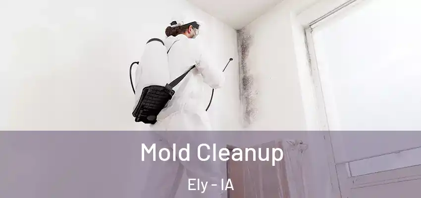 Mold Cleanup Ely - IA