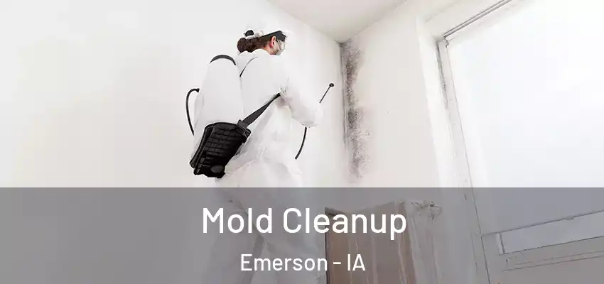  Mold Cleanup Emerson - IA