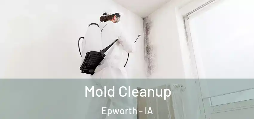 Mold Cleanup Epworth - IA