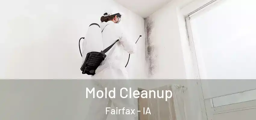 Mold Cleanup Fairfax - IA