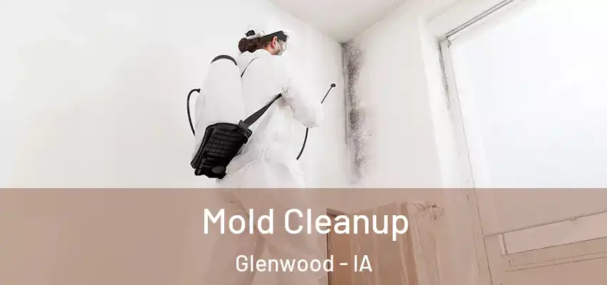  Mold Cleanup Glenwood - IA