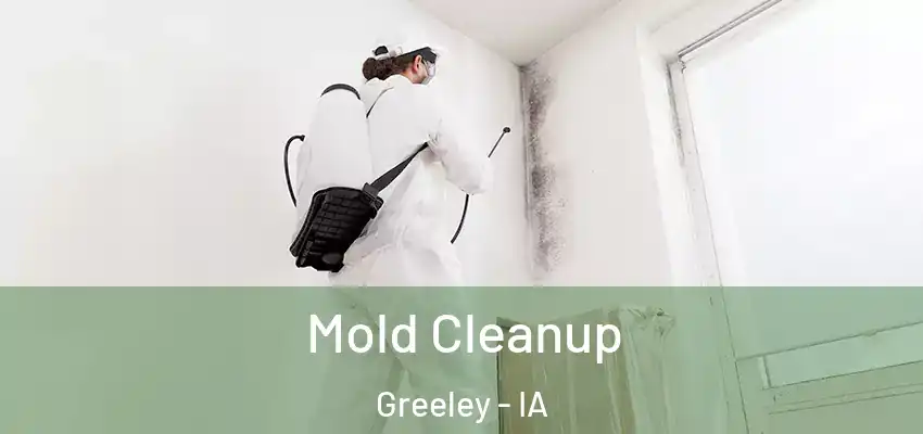 Mold Cleanup Greeley - IA