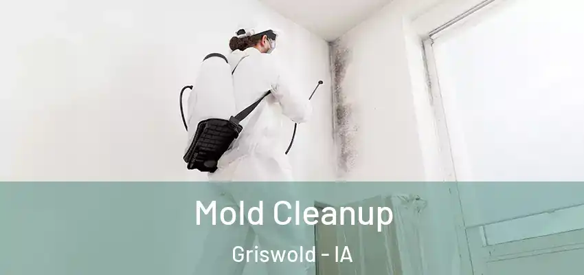  Mold Cleanup Griswold - IA
