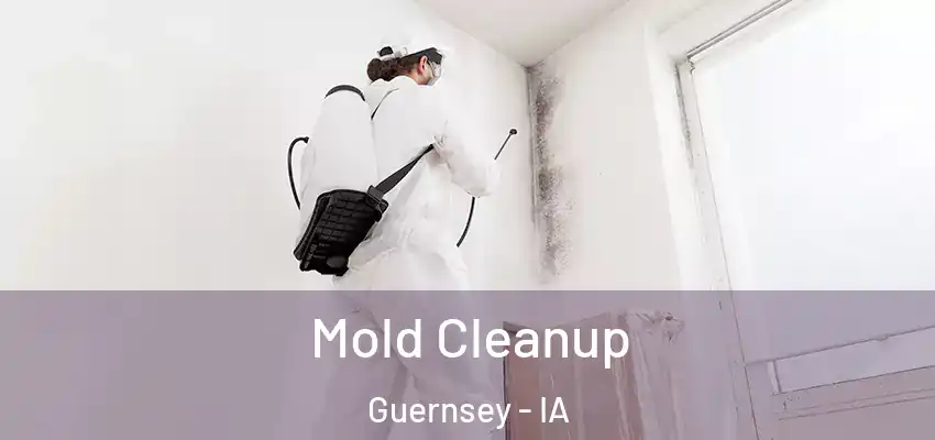 Mold Cleanup Guernsey - IA