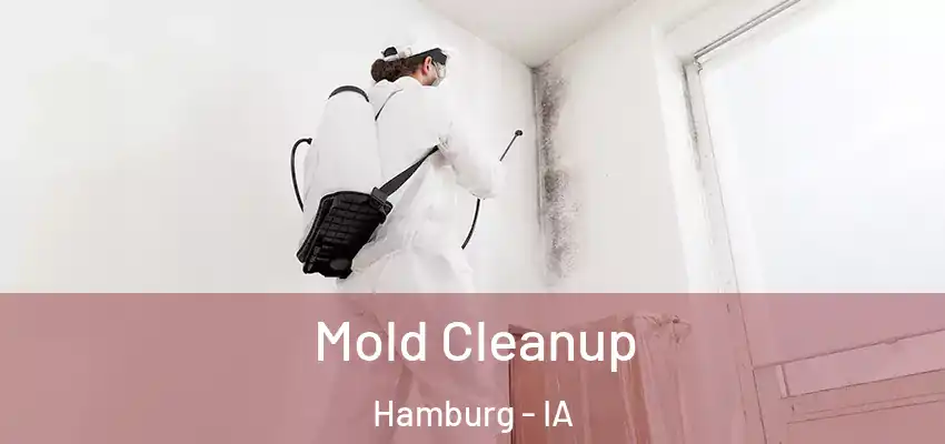 Mold Cleanup Hamburg - IA