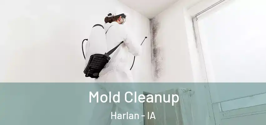  Mold Cleanup Harlan - IA