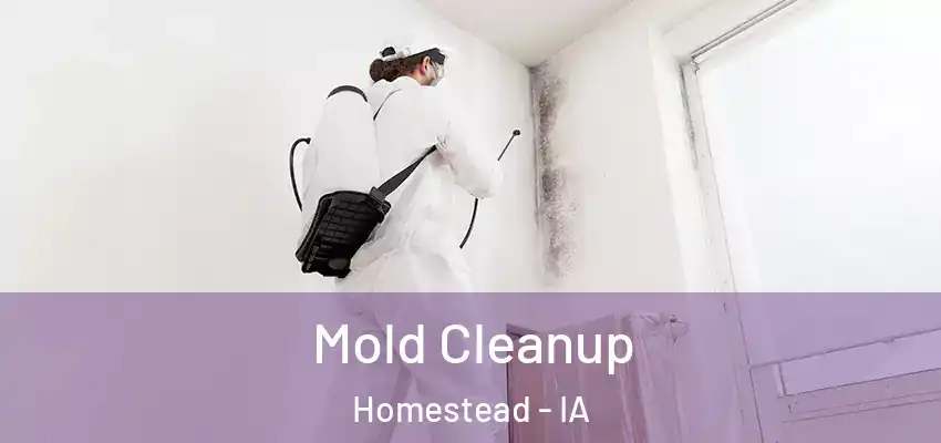 Mold Cleanup Homestead - IA