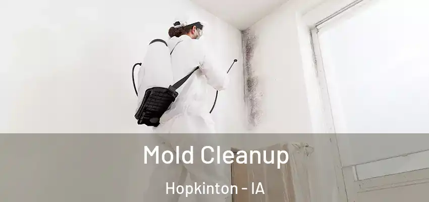 Mold Cleanup Hopkinton - IA