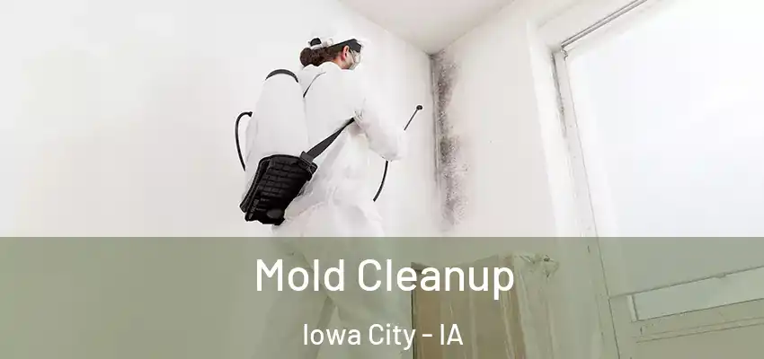 Mold Cleanup Iowa City - IA