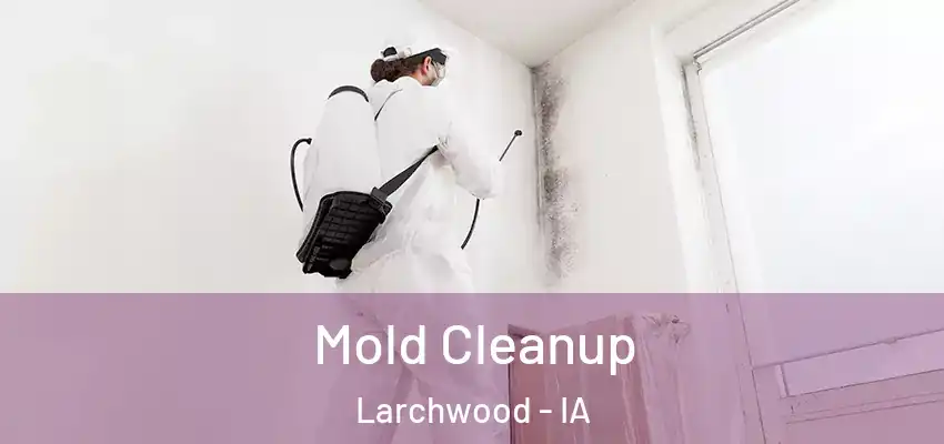  Mold Cleanup Larchwood - IA