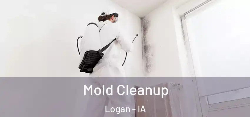  Mold Cleanup Logan - IA