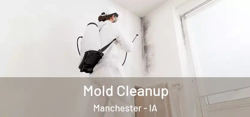  Mold Cleanup Manchester - IA
