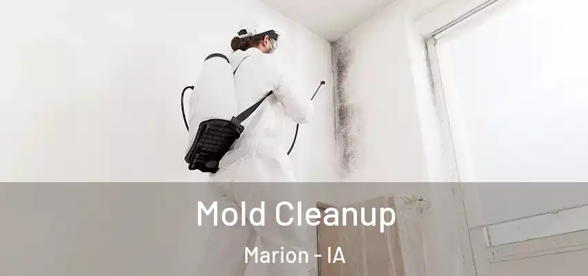  Mold Cleanup Marion - IA