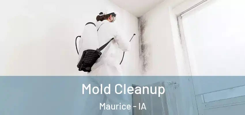 Mold Cleanup Maurice - IA