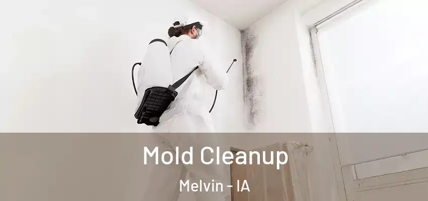  Mold Cleanup Melvin - IA