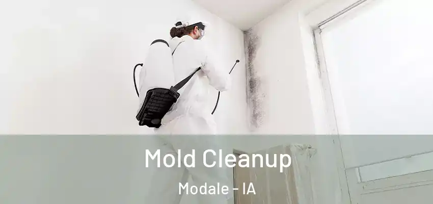 Mold Cleanup Modale - IA
