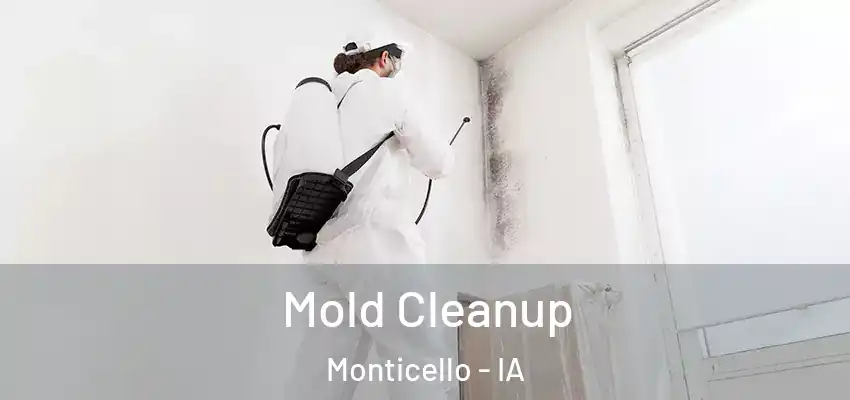 Mold Cleanup Monticello - IA