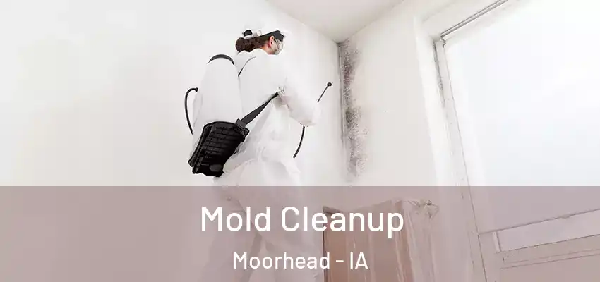 Mold Cleanup Moorhead - IA