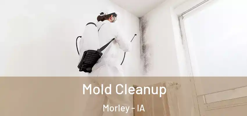 Mold Cleanup Morley - IA