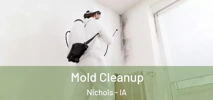  Mold Cleanup Nichols - IA