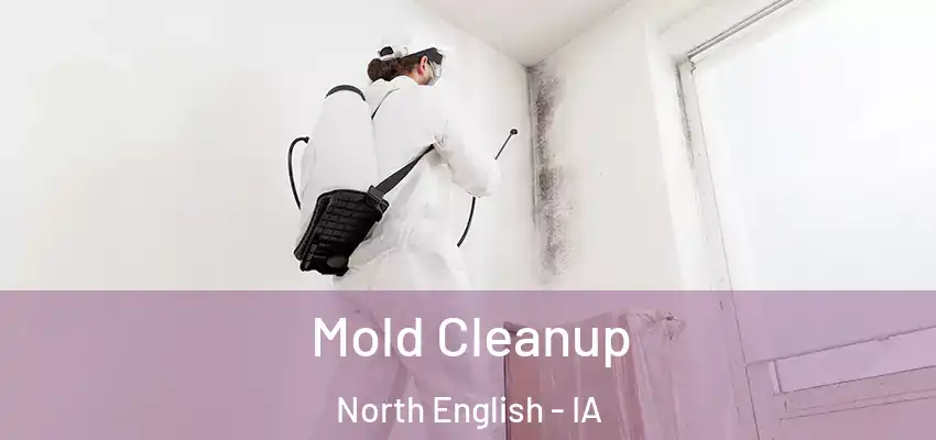 Mold Cleanup North English - IA