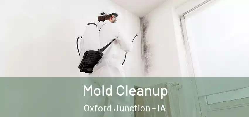  Mold Cleanup Oxford Junction - IA