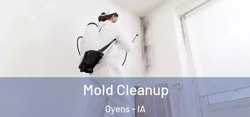 Mold Cleanup Oyens - IA