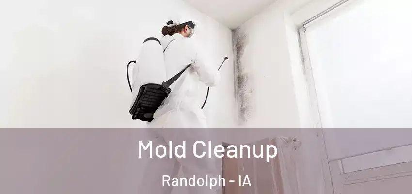  Mold Cleanup Randolph - IA