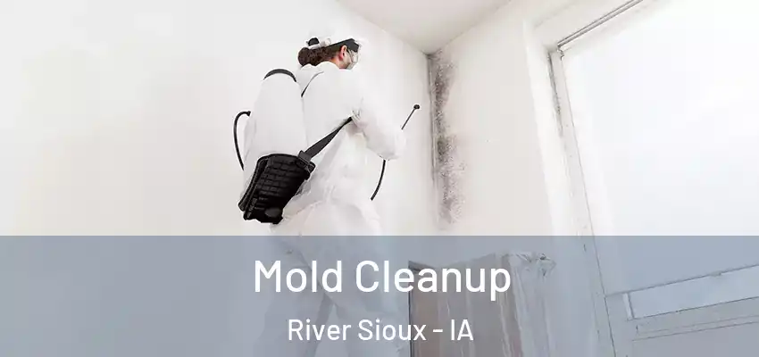 Mold Cleanup River Sioux - IA