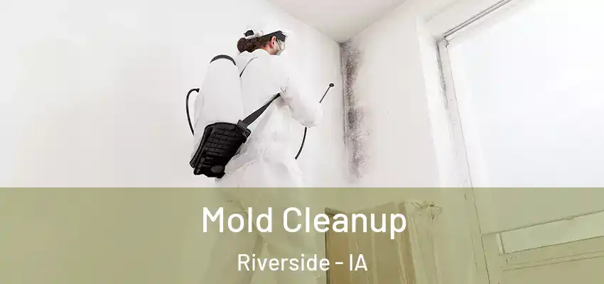  Mold Cleanup Riverside - IA
