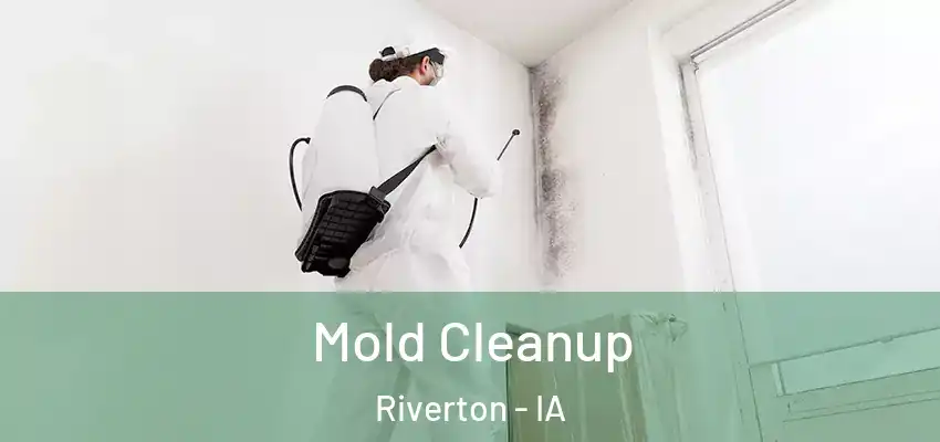  Mold Cleanup Riverton - IA