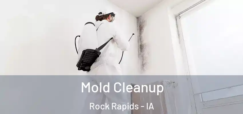 Mold Cleanup Rock Rapids - IA