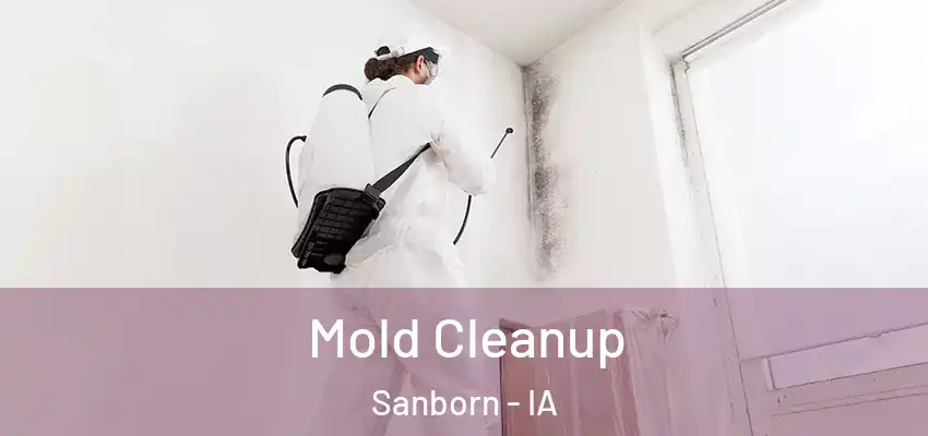 Mold Cleanup Sanborn - IA