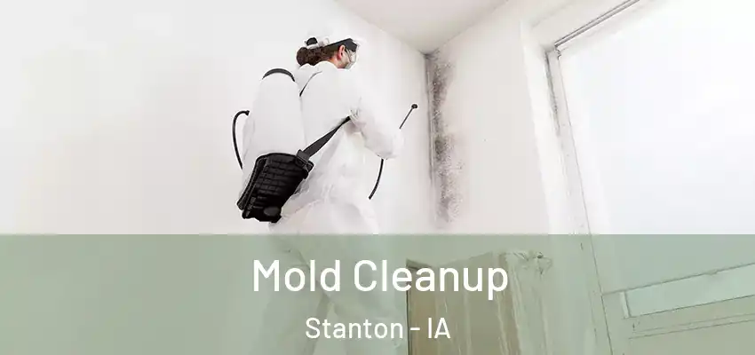Mold Cleanup Stanton - IA