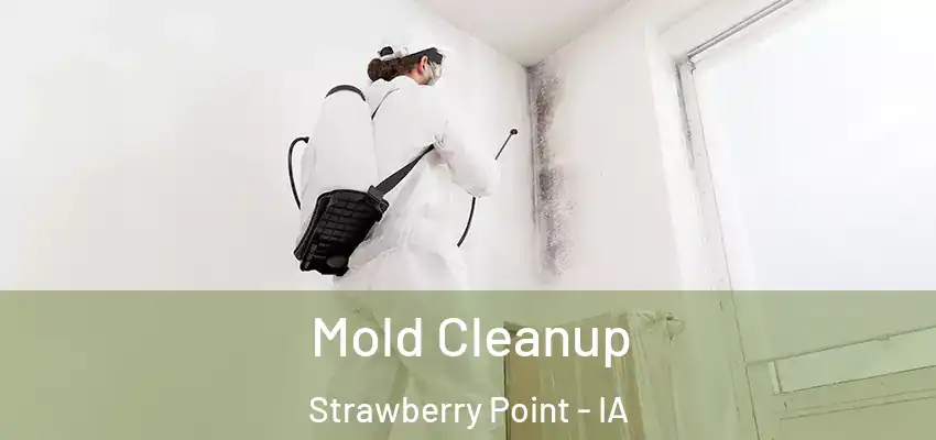  Mold Cleanup Strawberry Point - IA