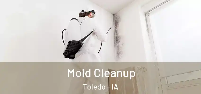 Mold Cleanup Toledo - IA
