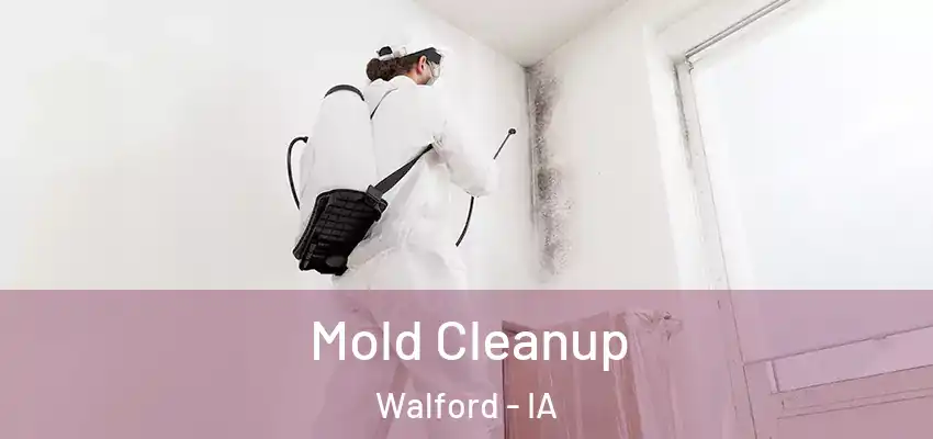 Mold Cleanup Walford - IA