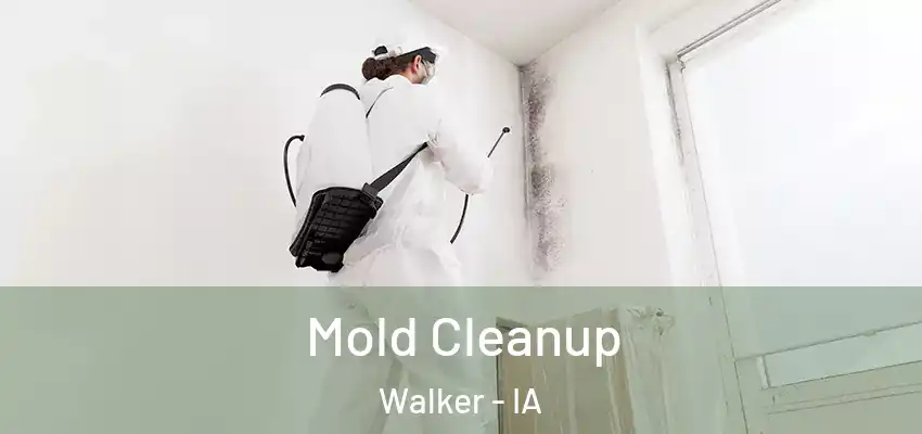 Mold Cleanup Walker - IA