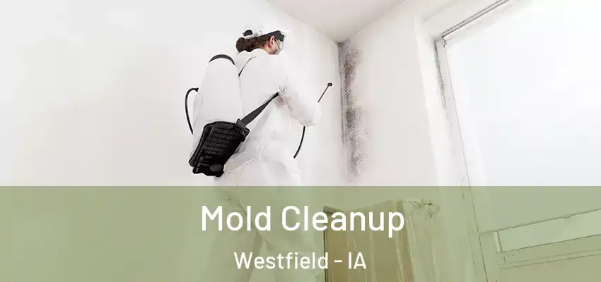 Mold Cleanup Westfield - IA
