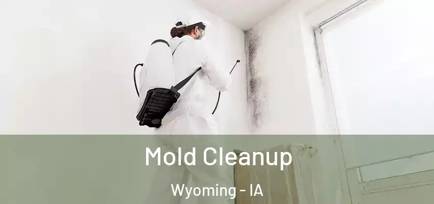  Mold Cleanup Wyoming - IA