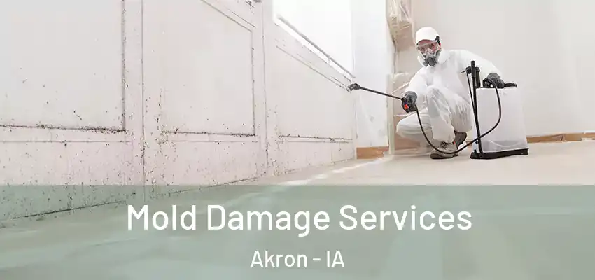  Mold Damage Services Akron - IA