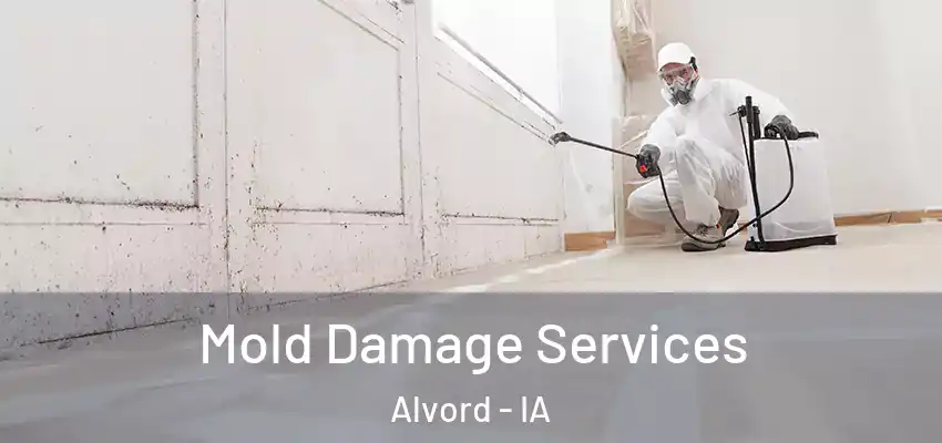  Mold Damage Services Alvord - IA