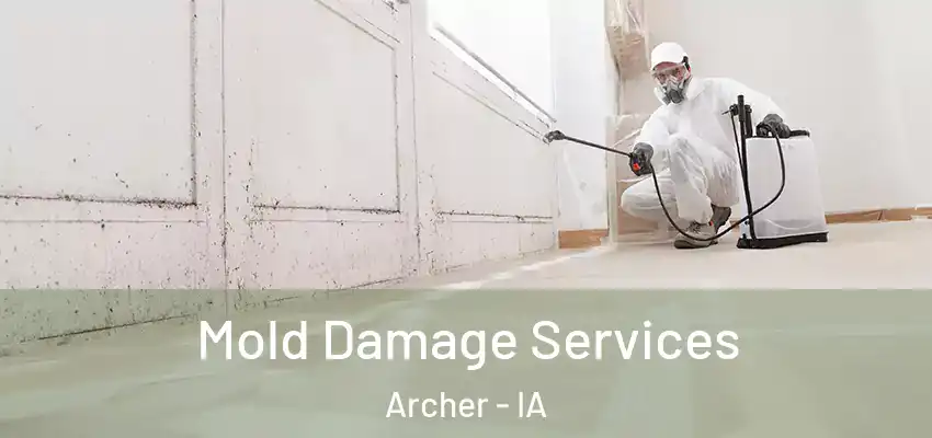 Mold Damage Services Archer - IA
