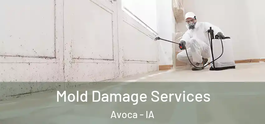  Mold Damage Services Avoca - IA