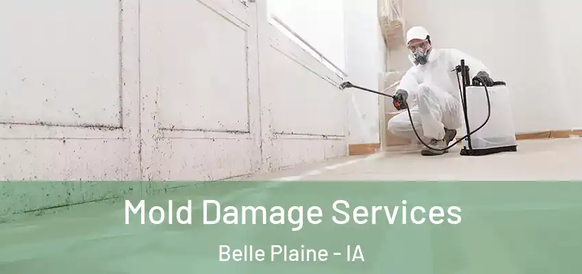 Mold Damage Services Belle Plaine - IA