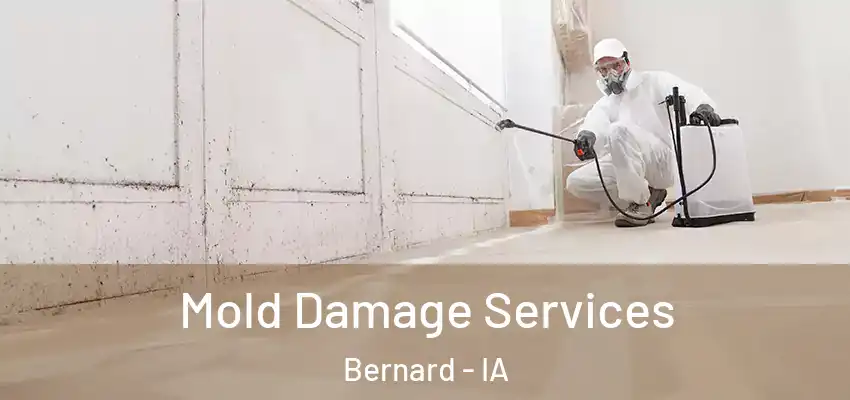 Mold Damage Services Bernard - IA
