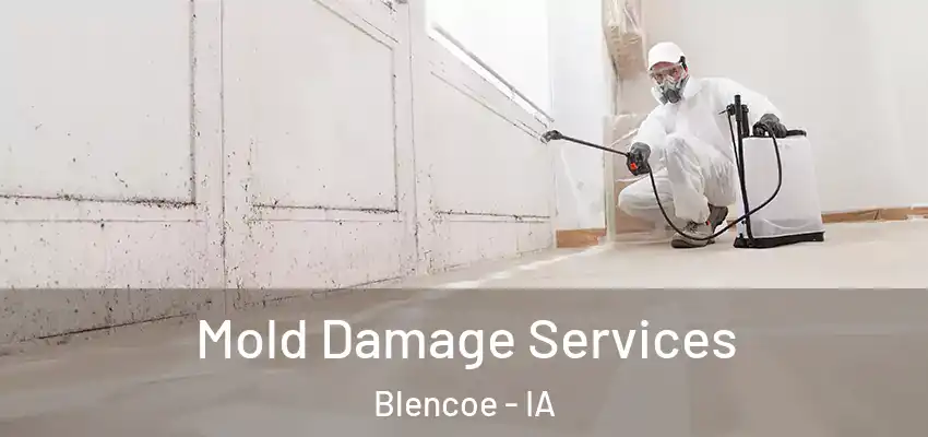 Mold Damage Services Blencoe - IA